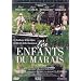 les pires aneries en DVD