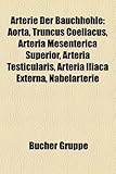 Arterie Der Bauchhohle: Aorta, Truncus Coeliacus, Arteria Mesenterica Superior, Arteria Testicularis, Arteria Iliaca Externa, Nabelarterie-