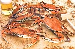 Premium Jumbo Male Hard Crabs (Steamed), 1 Dozen