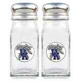 NCAA Kentucky Wildcats Salt/Pepper Shaker Set