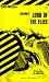 Book Golding's Lord of the Flies (Cliffs Notes)