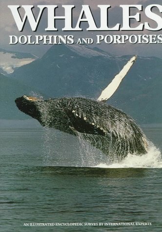 Whales, Dolphins and Porpoises