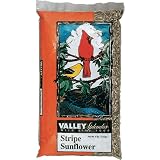 Valley Splendor Large Striped Sunflower Seed (8 lbs) by Valley Spendor