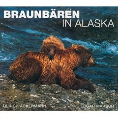 Braunb�ren in Alaska