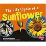 The Life Cycle of a Sunflower (Pebble Plus)