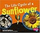The Life Cycle of a Sunflower (Pebble Plus)