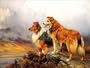 Collies In A Highland Landscape, Art Poster by W. Barker