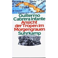 Ansicht der Tropen im Morgengrauen