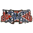 Lynyrd Skynyrd - Rebel Flag Logo Belt Buckle
