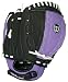 51Z6byWQbiL. SL75  wilson gloves softball