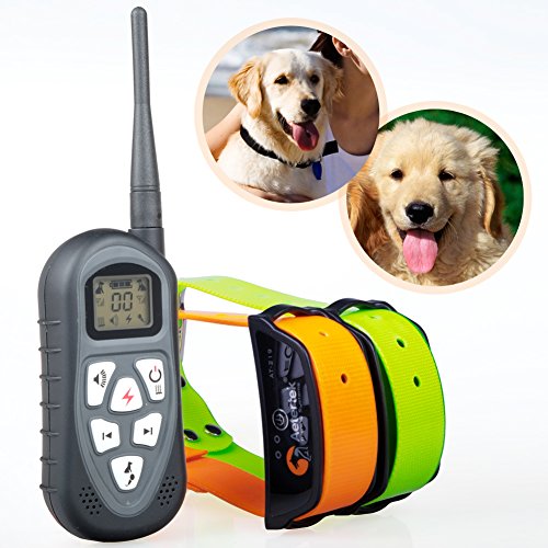 motorola dog shock collar
