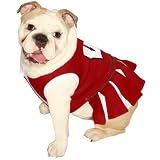 51Z6hsdPbfL. SL160  Pets First NCAA University of Wisconsin Badgers Cheerleader Dog Outfit, Medium
