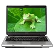 Toshiba Satellite A135-S2276 15.4" Widescreen Laptop (Intel Pentium D Processor T2060, 512 MB RAM, 80 GB Hard Drive, SuperMulti DVD Drive, Vista Basic) Toshiba Satellite A135-S2276 15.4" Widescreen Laptop (Intel Pentium D Processor T2060, 512 MB RAM, 80 GB Hard Drive, SuperMulti DVD Drive, Vista Basic)