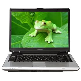 Toshiba Satellite A135-S2276 15.4" Widescreen Laptop (Intel Pentium D Processor T2060, 512 MB RAM, 80 GB Hard Drive, SuperMulti DVD Drive, Vista Basic)