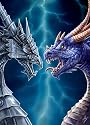 Yu-Gi-Oh! Sleeves(Pack of 50):Dragon Face Off