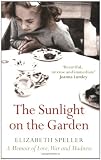 The Sunlight on the Garden: A Family in Love, War and Madness