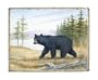 2 Country Art Prints Bear and Moose Picture Home Decor