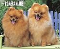 Just Pomeranians 2010 Calendar
