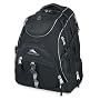 High Sierra Access Backpack