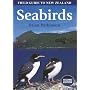 Field Guide to New Zealand Seabirds