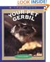 Your Pet Gerbil (True Books: Animals)