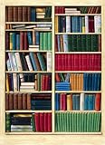 Bibliotheque 401 Wall Mural