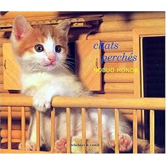 Chats perch�s