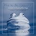 Book Rise To The Occasion:  Lessons In Beating Blue Days 2002 Day-To-Day Calendar