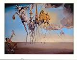 Salvador Dali (The Temptation of Saint Anthony) Art Poster Print - 24