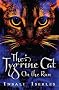 The Tygrine Cat: On the Run