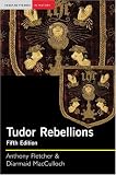 Tudor Rebellions (Seminar Studies in History Series)