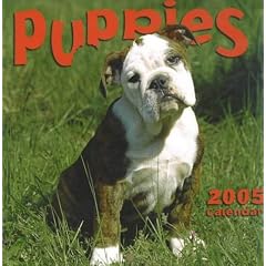 Puppies Mini Calendar 2005