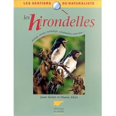 Les hirondelles