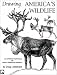 Drawing America's Wildlife : An Artist's Portfolio of North American Animals (1st U.s ed)