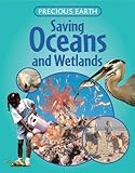 Saving oceans and wetlands