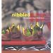 Nibbled: 200 Fabulous Food Ideas for Perfect Parties (Retro series): 200 Fabulous Finger Food Ideas (Murdoch Party Food)