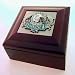 NFL Miami Dolphins Logo Wood Collectors Box
