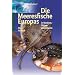 Top Atlantik, Nordsee und Ostsee