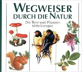 Wegweiser durch die Natur: Die Tiere und Pflanzen Mitteleuropas - 