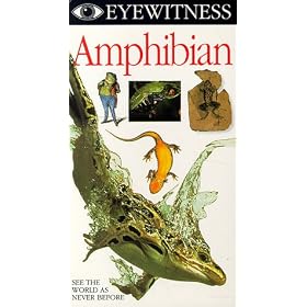 Eyewitness - Amphibian [VHS]