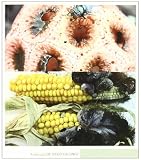 Hongos medicinales (Botanica (mundi Prensa))