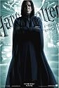 Harry Potter And The Half Blood Prince - Movie Poster (Professor Snape) (Size: 27" x 39")