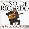 Great Masters of Flamenco, Vol. 11