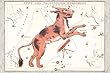 Art Poster, Constellation of Lynx - 27.5 x 18.75