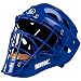 Sporting Goods : Softball - Louisville Hockey Catchers Helmet