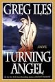 Turning Angel: A Novel