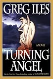 Turning Angel: A Novel