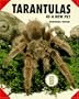 Tarantulas as a New Pet