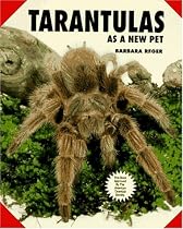 Tarantulas as a New Pet