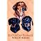 Best Dachshund Tales